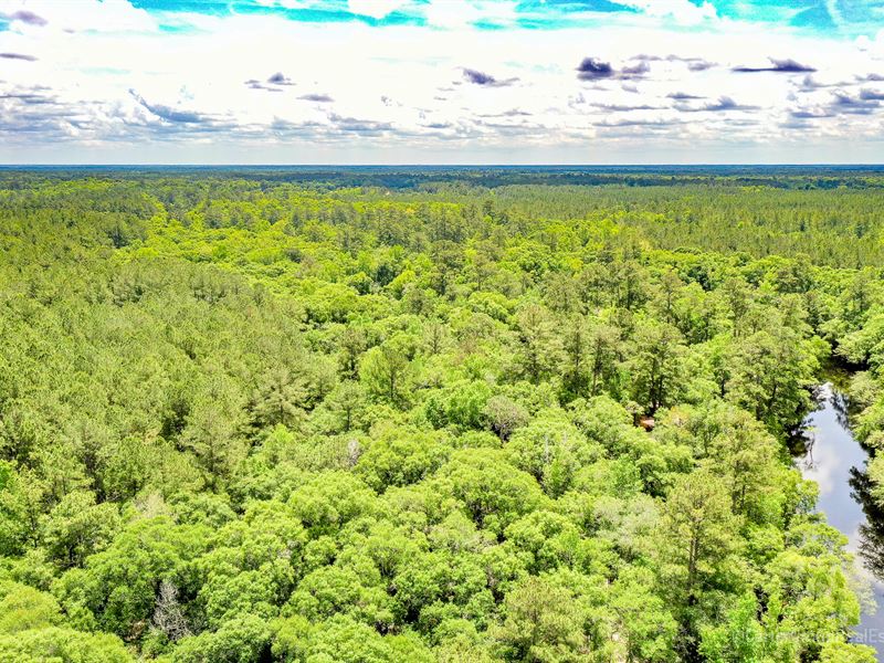 108 Acres Satilla River Retreat, Farm for Sale in 288388
