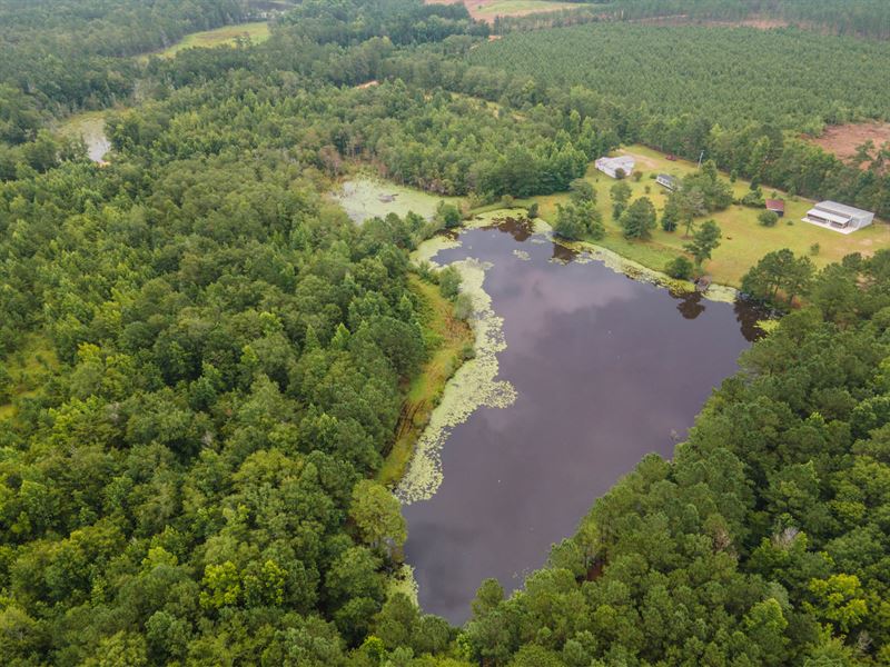 Sassertown Retreat : Rocky Ford : Screven County : Georgia