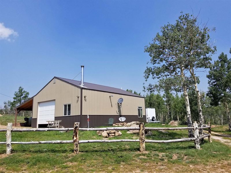 Trees, Meadows, and Spring Fed Pond, Farm for Sale in Colorado, 288465