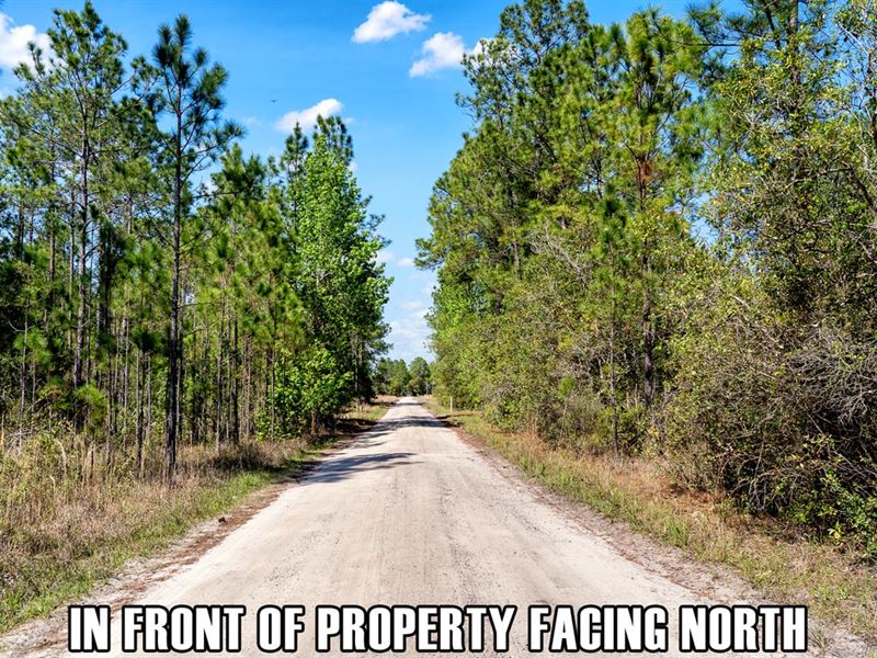 Owner Fin, Near Forrest and Daytona, Farm for Sale by Owner in Florida