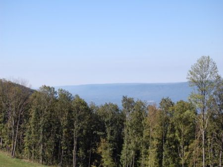 Secluded Signal Mountain Homesite : Signal Mountain : Sequatchie County : Tennessee