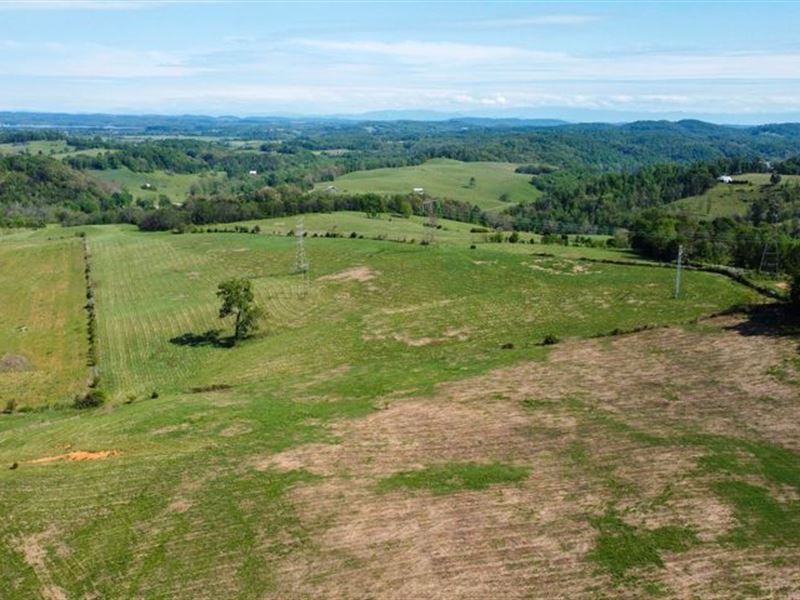 Beautiful 200 Acres of Pastureland, Farm for Sale in Tennessee, 288798