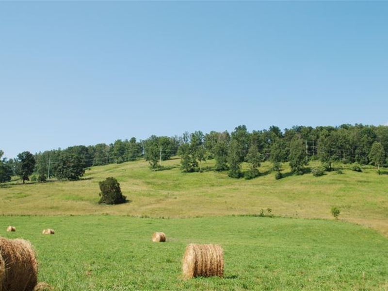 Beautiful Farm with Barns and Silos, Farm for Sale in Tennessee