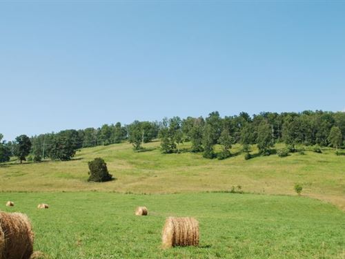 Beautiful Farm with Barns and Silos : Rutledge : Grainger County : Tennessee