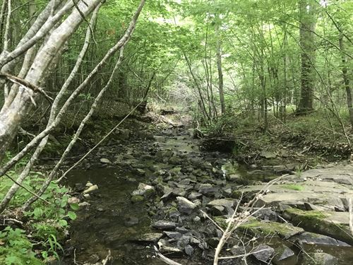 Lunenburg Farm & Timber : Victoria : Lunenburg County : Virginia
