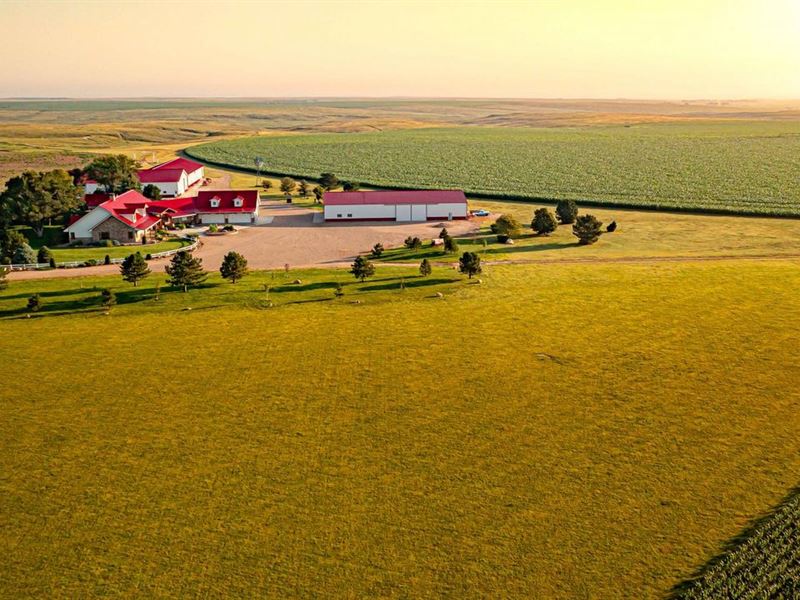 Kansas Gentleman's Farm : Sharon Springs : Wallace County : Kansas