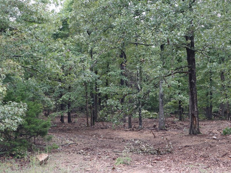 Ozarks Wooded Property : Salem : Fulton County : Arkansas