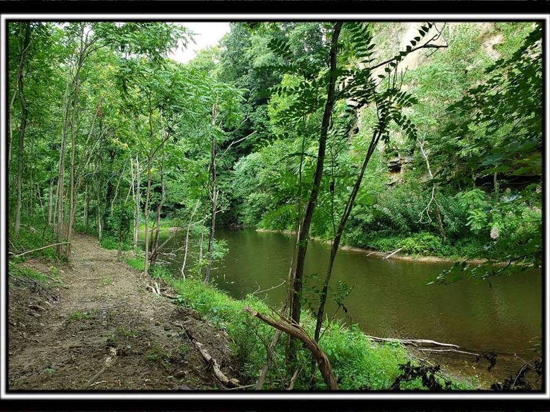 The Woods at Harmony Pond : New Lexington : Perry County : Ohio