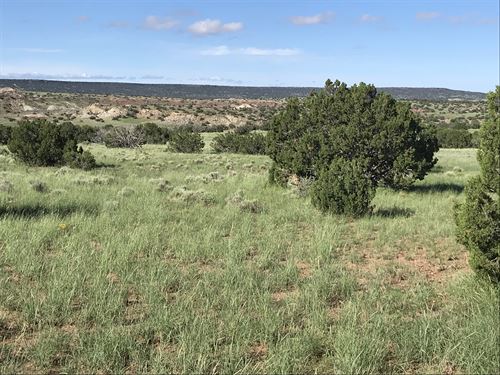 Arizona Wilderness Homestead : Saint Johns : Apache County : Arizona