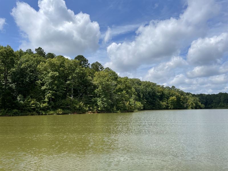 176 Acres Lake Russell : Elberton : Elbert County : Georgia