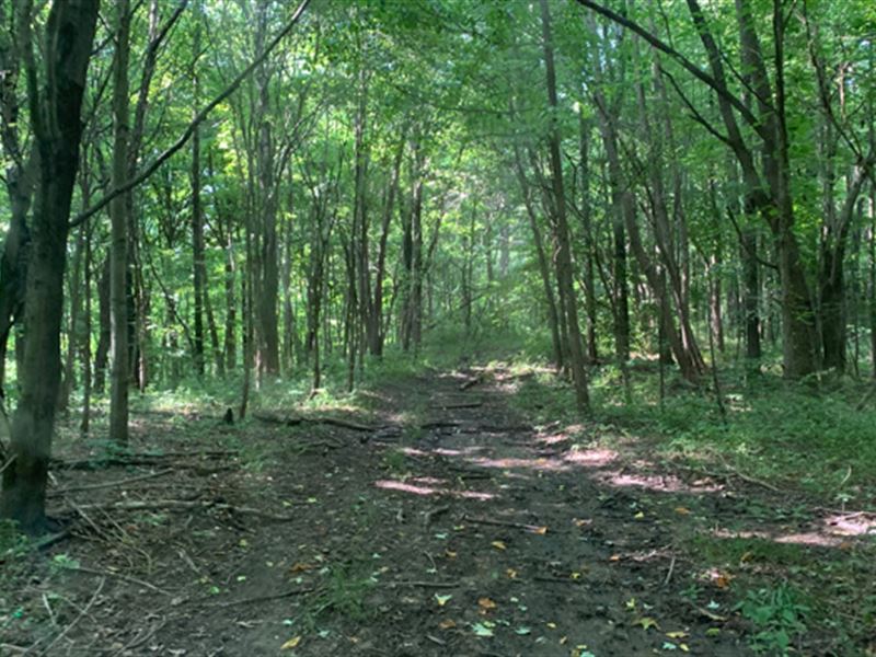 Ohio Land for Sale, Licking County : Newark : Licking County : Ohio