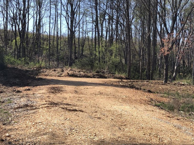 160 Acres Riverton Rose Trail Road Farm for Sale in Cherokee, Colbert