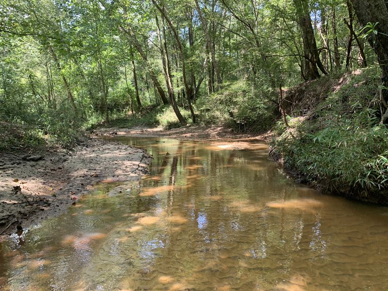 Great Hunting Tract in Pike County : Brundidge : Pike County : Alabama