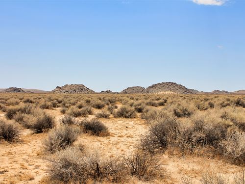 Solar Flare 40 : Lockhart : San Bernardino County : California