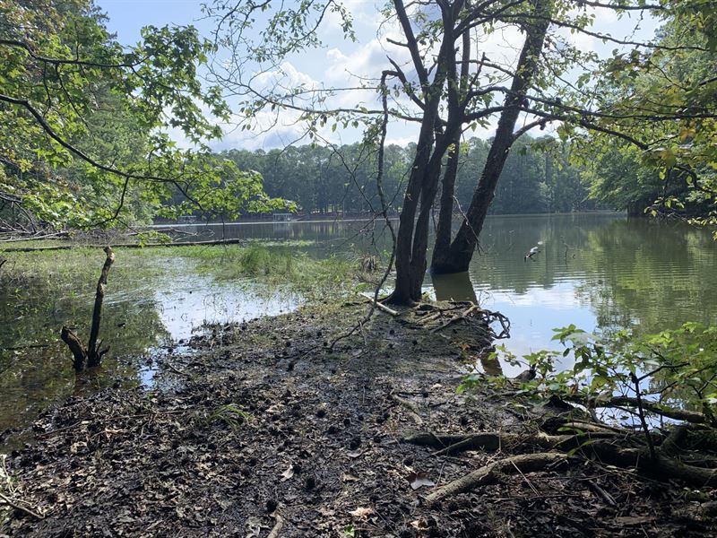 24 Acres on West Point Lake : Lagrange : Troup County : Georgia