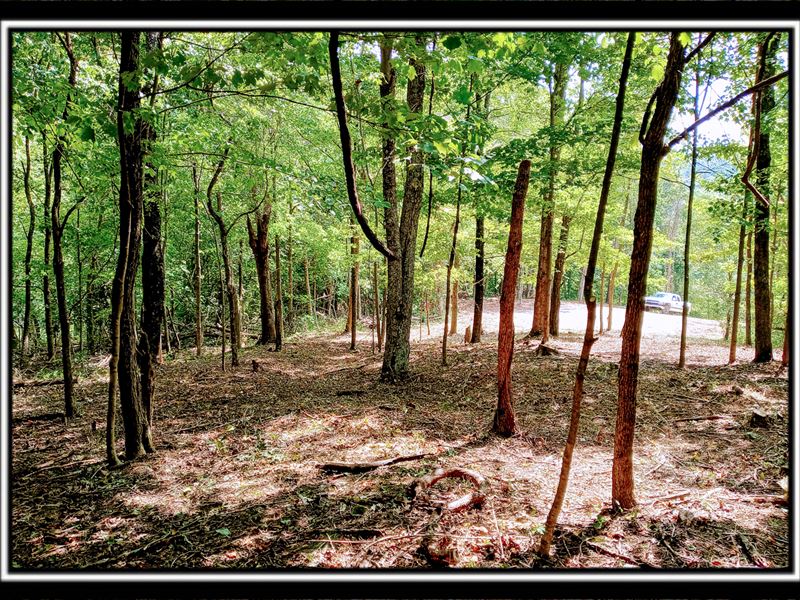 Tract 4, Hampton Woods, Farm for Sale in Ohio, 289628 FARMFLIP