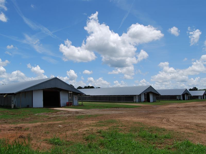 Poultry Farm with 8 Houses, Farm for Sale in 289720 FARMFLIP