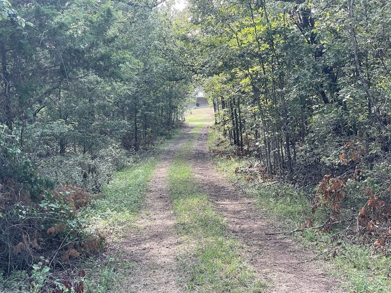 Wooded Land for Sale in Missouri : West Plains : Howell County : Missouri