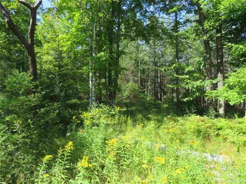 800 +/ Acres Recreational, Farm for Sale in Michigan, 289893 FARMFLIP