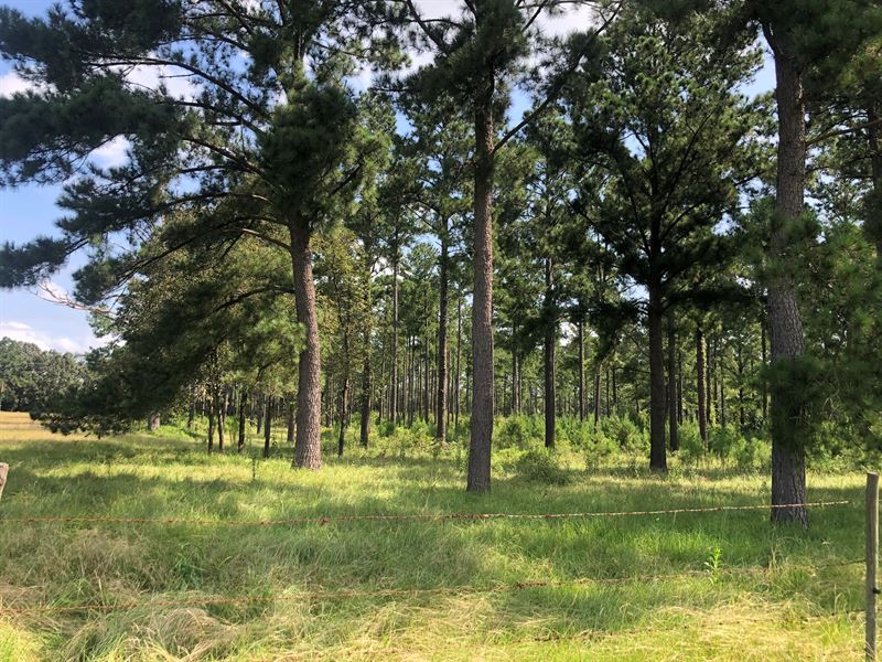 Willis Cattle Farm, Farm for Sale in 290237 FARMFLIP