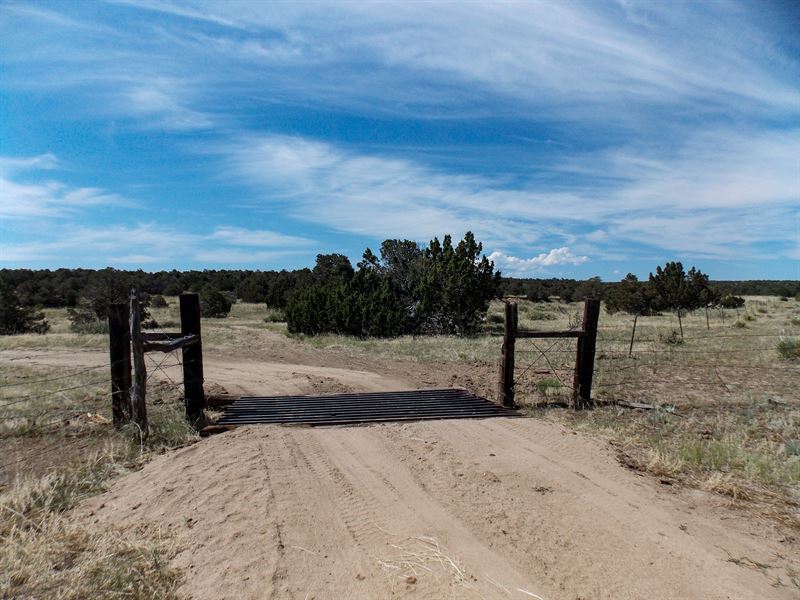 Twin Lakes Acreage for Sale : Walsenburg : Huerfano County : Colorado