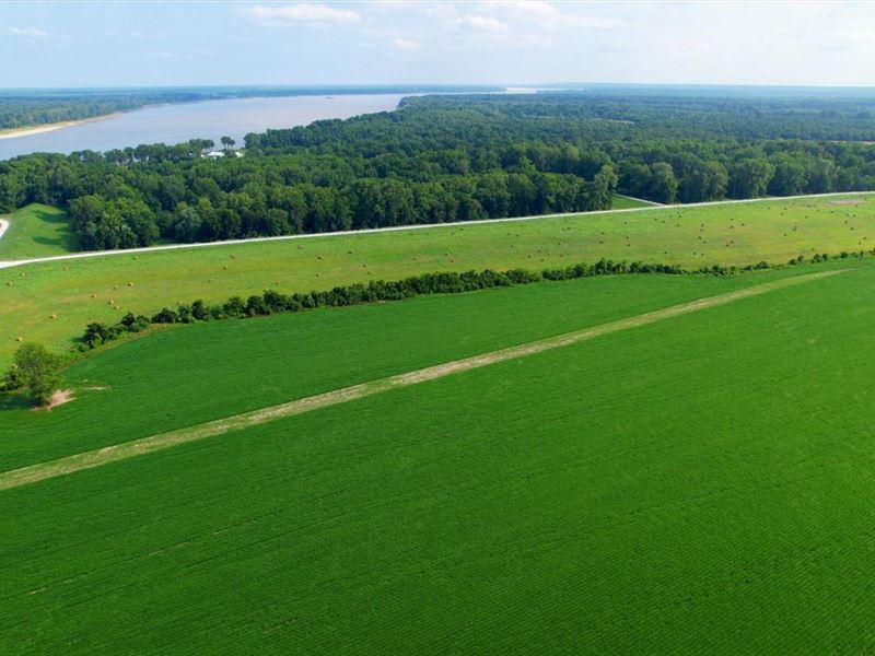 1025 Acres, Row Crop, Duck Hunt, Farm for Sale in Arkansas, 290427