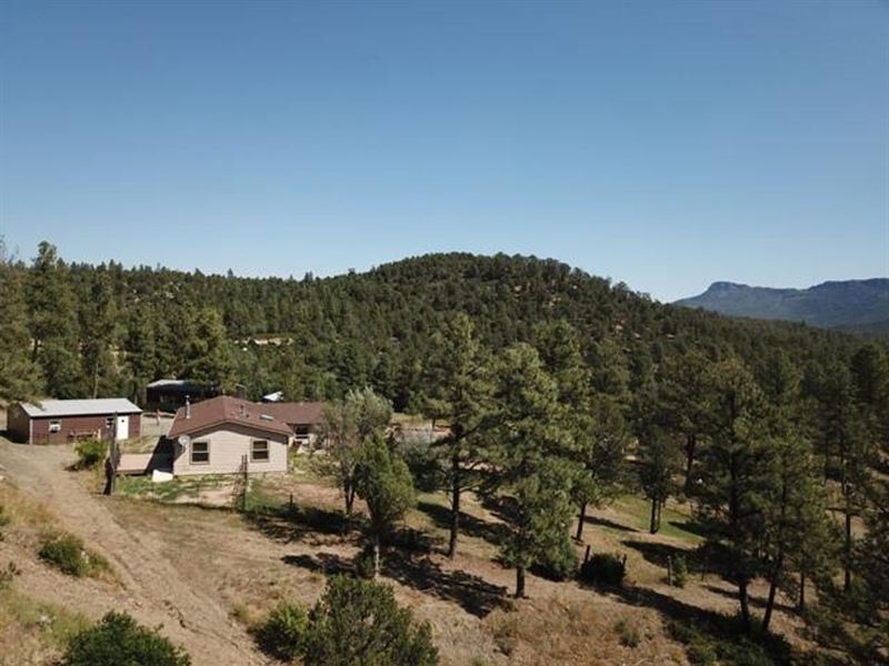 D14 Santa Fe Trail Ranch : Trinidad : Las Animas County : Colorado