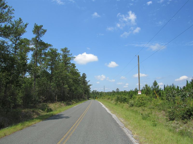 White Pond Road Tract, Lot 2, Farm for Sale in South Carolina, 290530