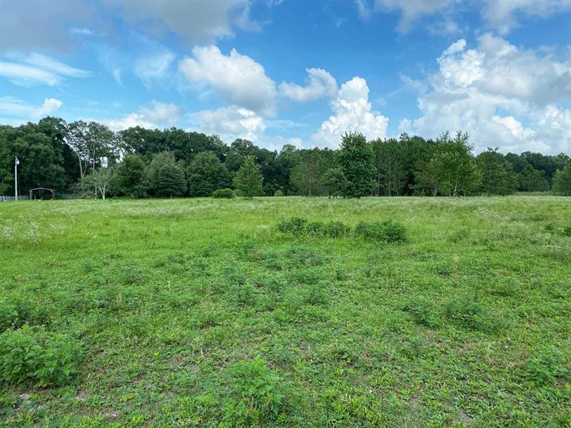 Vacant Land with Well and Septic, Farm for Sale in Florida, 290642