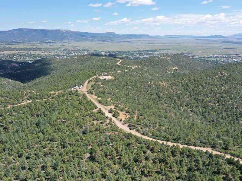 Your Own Mini Ranch Mins From CO : Raton : Colfax County : New Mexico
