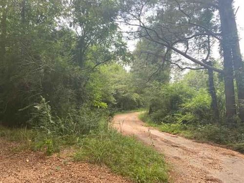 Ms, Attala 80 Ac : Kosciusco : Attala County : Mississippi