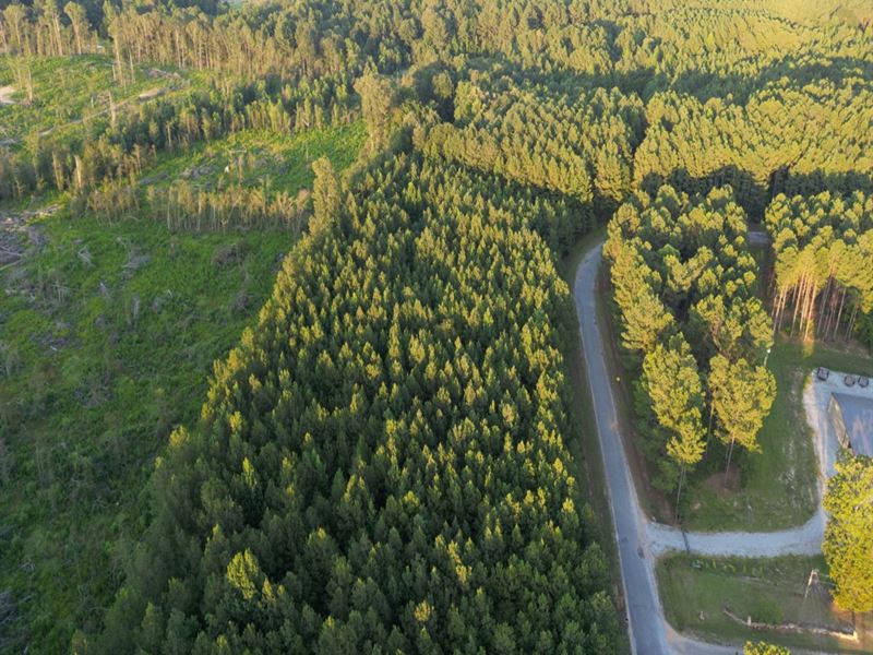 50 Acres in Oktibbeha County in Bra : Bradley : Oktibbeha County : Mississippi