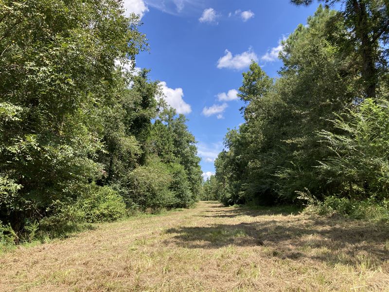 Mount Olivet Church Road Tract E, Farm for Sale in 291216