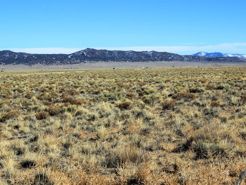 38.62 Acres, RV / Mobile Land : Blanca : Costilla County : Colorado