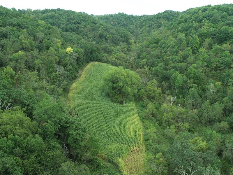 70 Acres Buffalo County : Alma : Buffalo County : Wisconsin