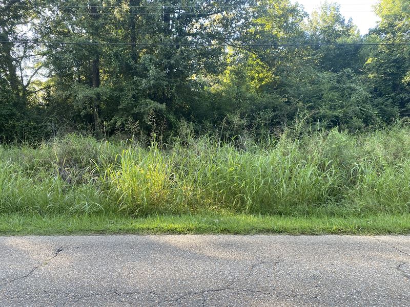 La, Morehouse 19 Acres, Farm for Sale in Louisiana, 291473 FARMFLIP