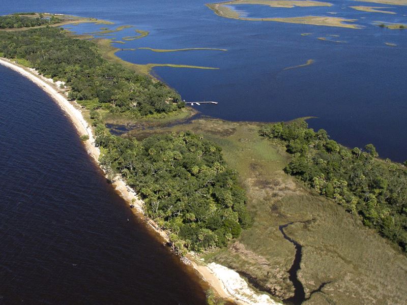 Deer Island : Cedar Key : Levy County : Florida