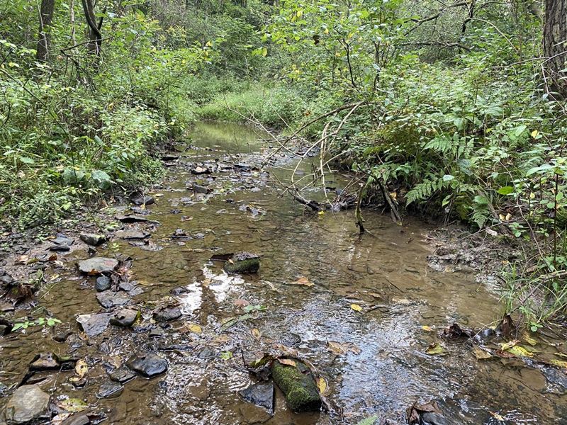 Taffy Run Rd, Beaver County, 65 Ac : Rochester : Beaver County : Pennsylvania