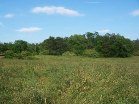 14+ Ac Cassville Pinelog Road : Rydal : Bartow County : Georgia