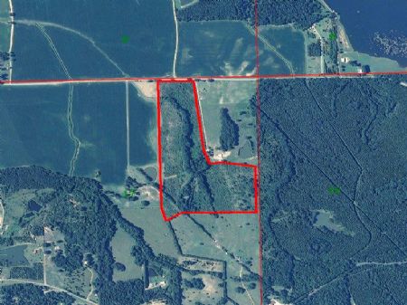 Flora Found 70 +/- Acres : Flora : Madison County : Mississippi