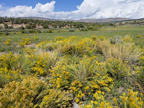 Farallon Ranch : Echo : Uintah County : Utah