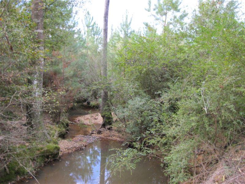 144.43 Ac Hunting Land : Centreville : Amite County : Mississippi