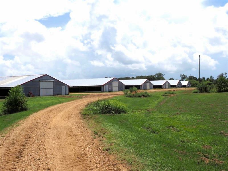8 House Poultry Broiler Farm, 80 Ac : Terry : Copiah County : Mississippi