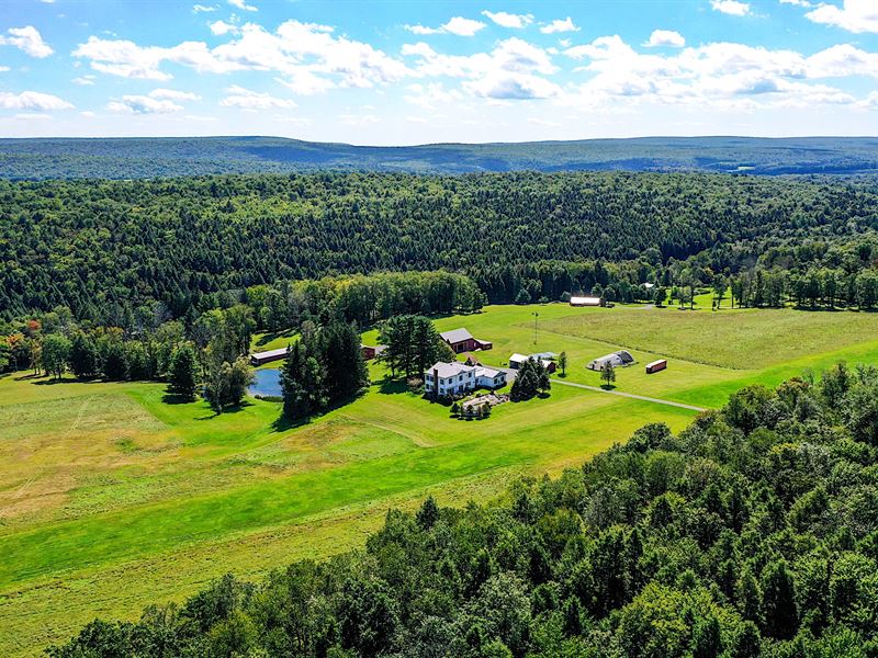 370+ Acre Country Estate : Weatherly : Carbon County : Pennsylvania