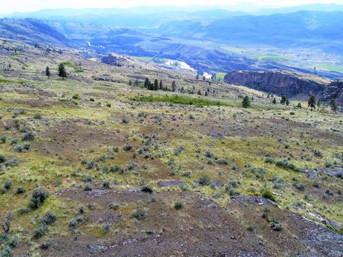 20 Acres Homesite, Off-Grid : Tonasket : Okanogan County : Washington