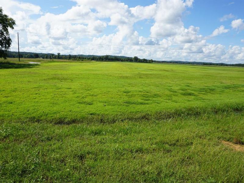 Fosters Farm Land, Development, Farm for Sale in Alabama, 292488
