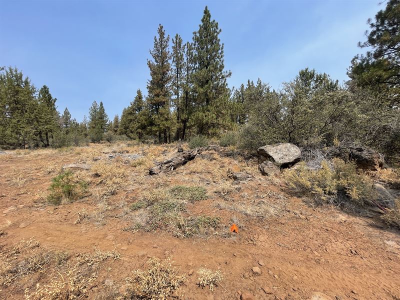 Beautifully Treed 5.17 Acres in OR : Bonanza : Klamath County : Oregon