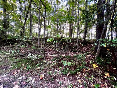 Unrestricted for Camping & Hunting : Oneida : Scott County : Tennessee