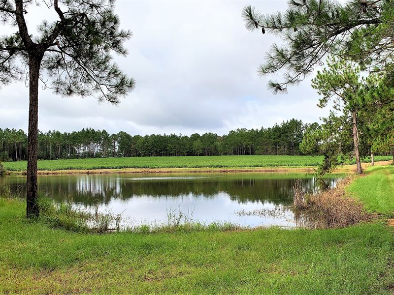 Arabi Plantation, Farm for Sale in 292687 FARMFLIP