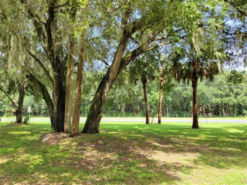 Orange Lake Acres, 6 Ac, Farm for Sale in Florida, 292690 FARMFLIP